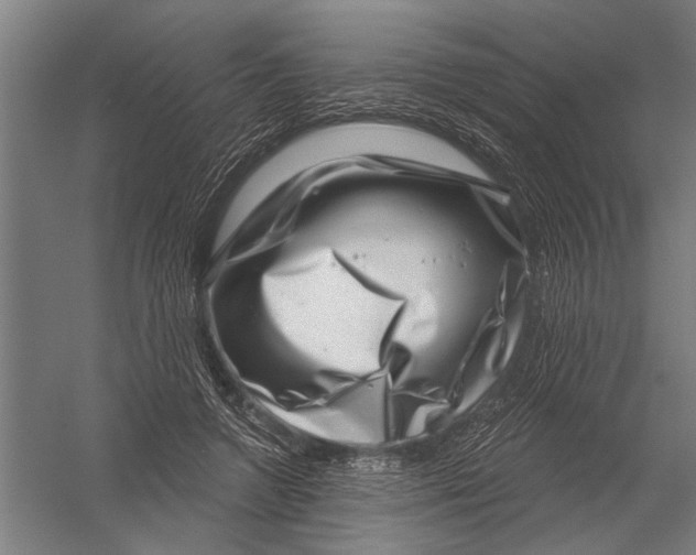 X0000052930546200507292355