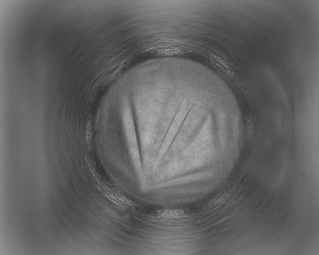 X0000052930549200507292355