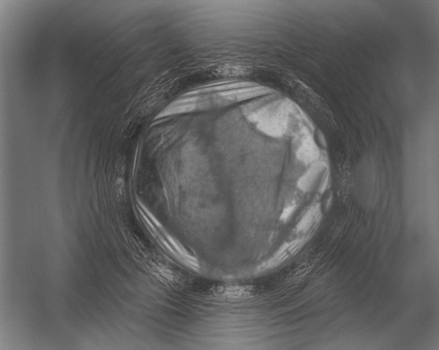 X0000052930553200507292355