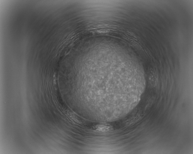 X0000052930555200507292355