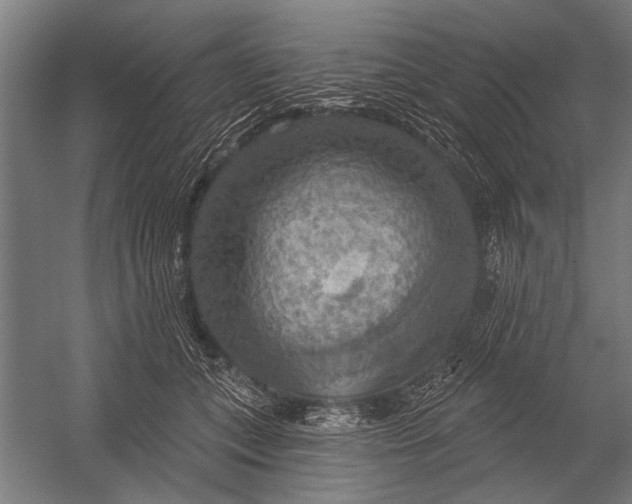 X0000052930559200507292355