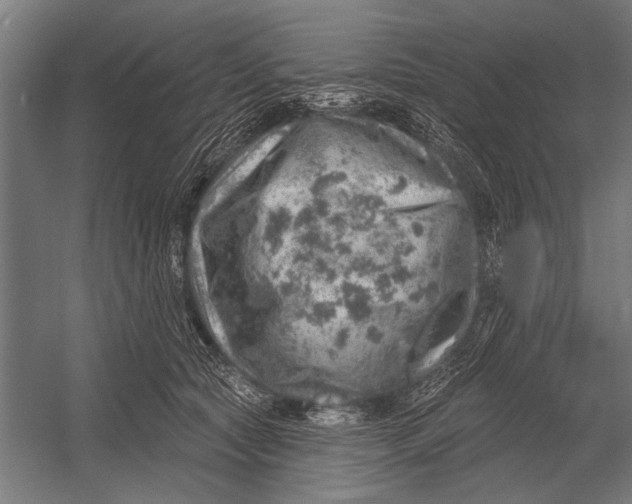 X0000052930561200507292355