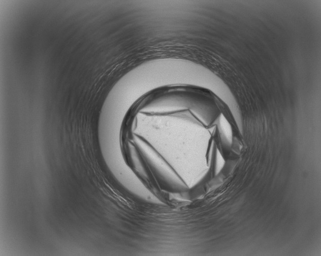 X0000052930562200507292355