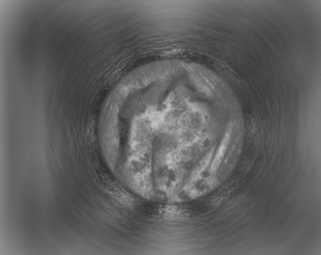 X0000052930565200507292355