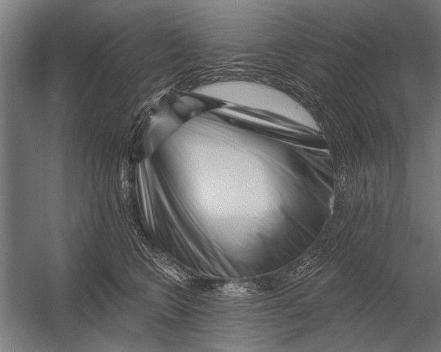 X0000052930566200507292355