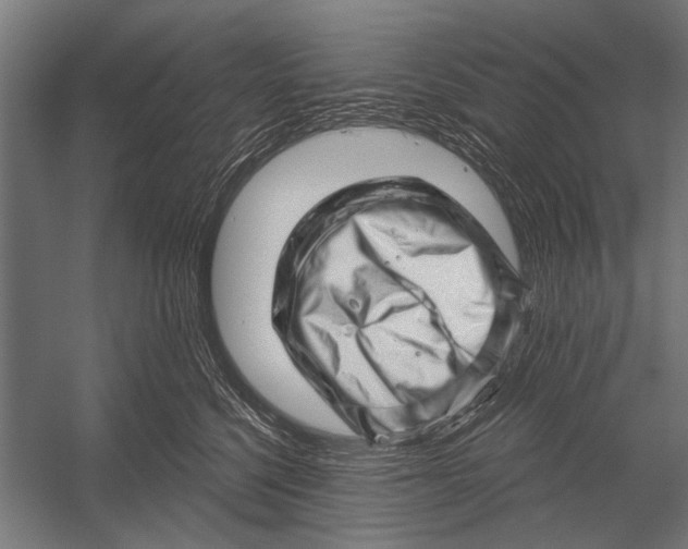 X0000052930568200507292355