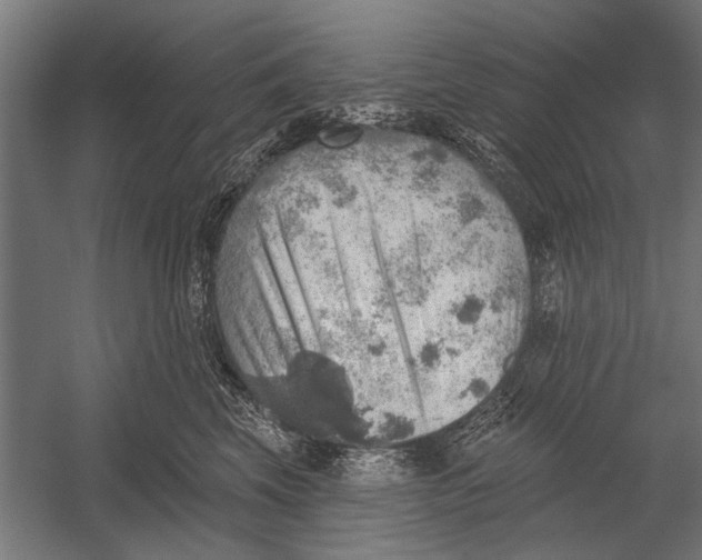 X0000052930569200507292355