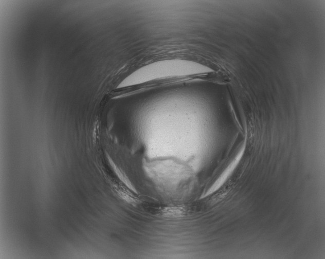 X0000052930574200507292355