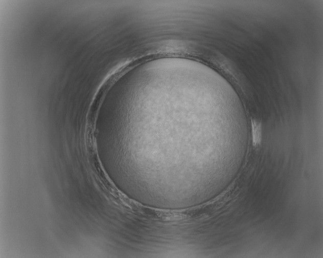 X0000052930579200507292354