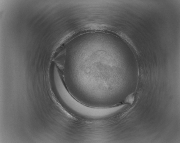 X0000052930581200507292354