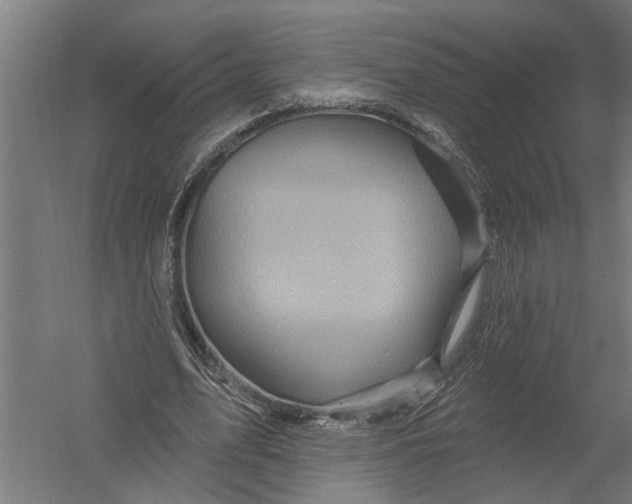 X0000052930583200507292354