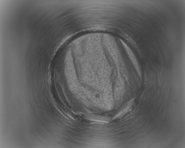 X0000052930584200507292354