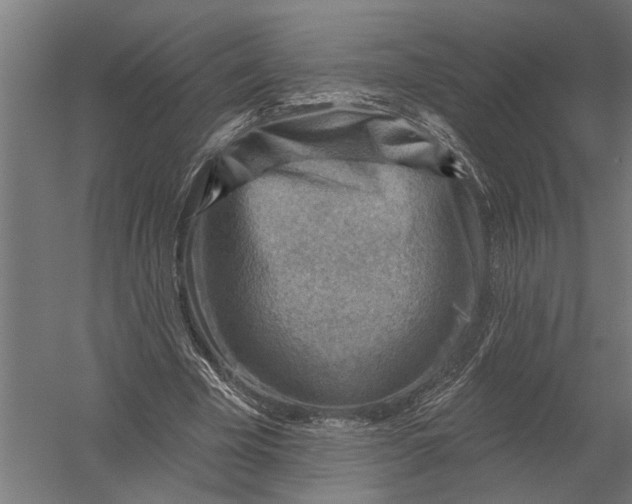 X0000052930585200507292354