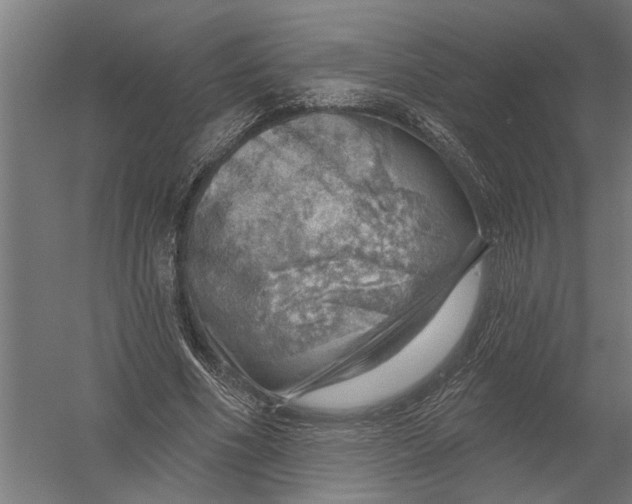 X0000052930586200507292354