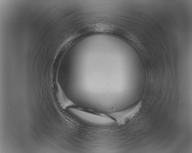 X0000052930587200507292354