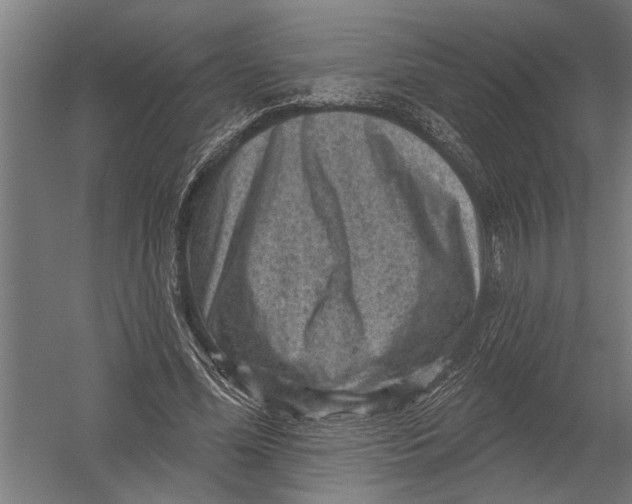 X0000052930588200507292354