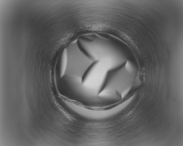 X0000052930589200507292354