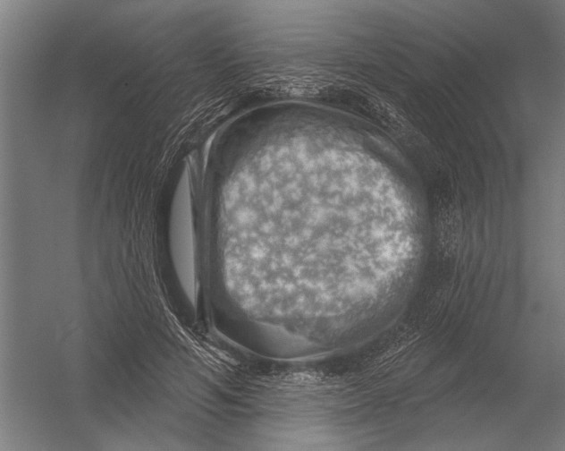 X0000052930594200507292354