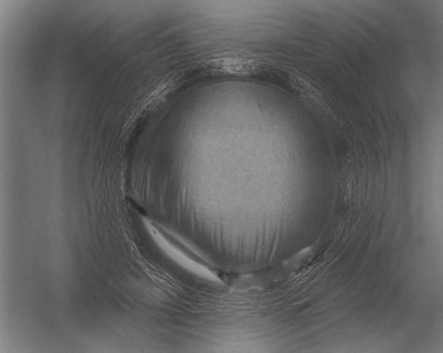 X0000052930595200507292354