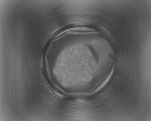 X0000052930596200507292354