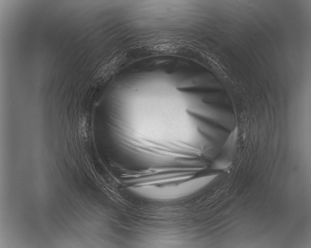 X0000052930597200507292354