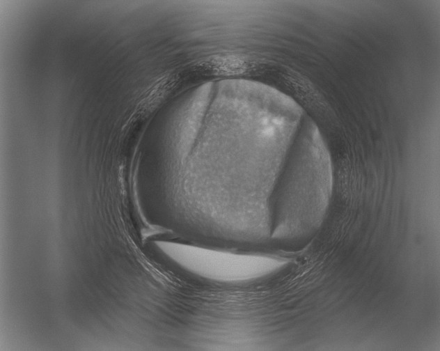 X0000052930598200507292354