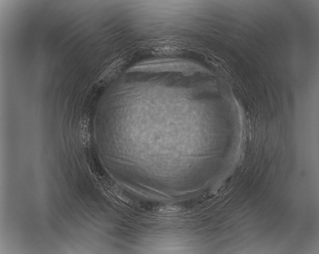 X0000052930599200507292354