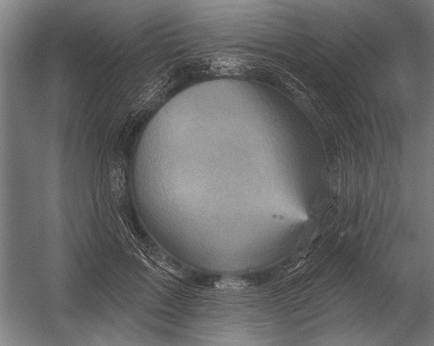 X0000052930603200507292354