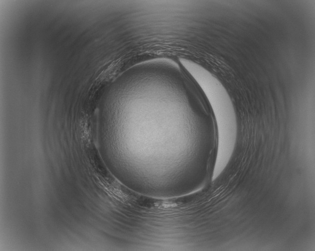 X0000052930607200507292354