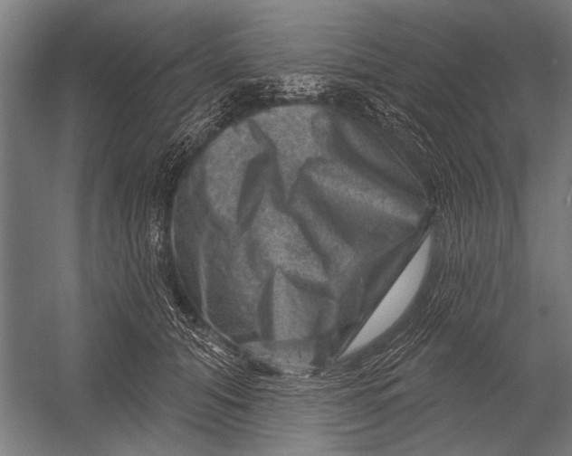 X0000052930608200507292354