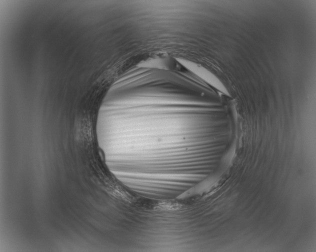 X0000052930617200507292354