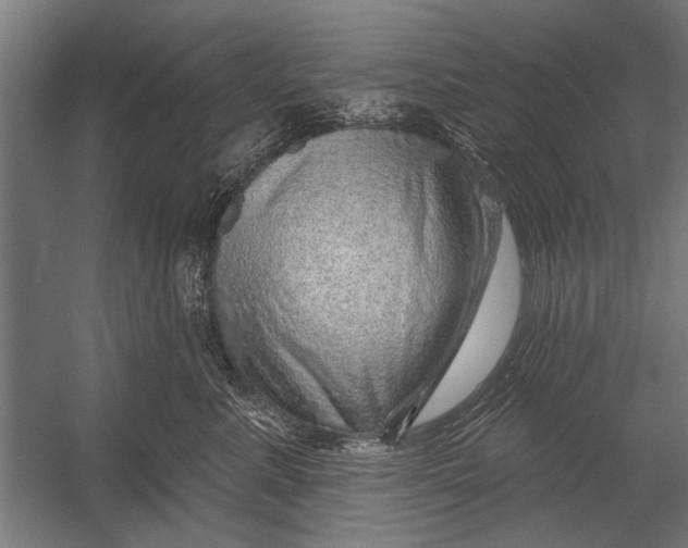 X0000052930619200507292354