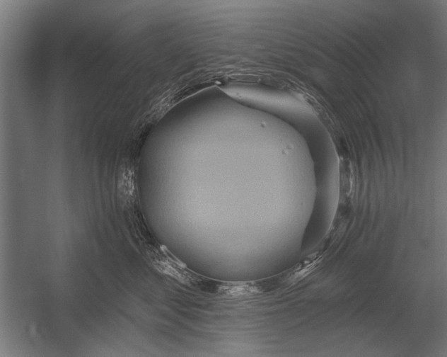 X0000052930621200507292354