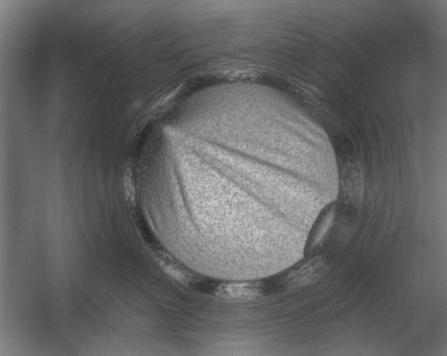 X0000052930622200507292354