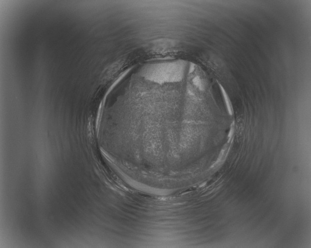 X0000052930623200507292354