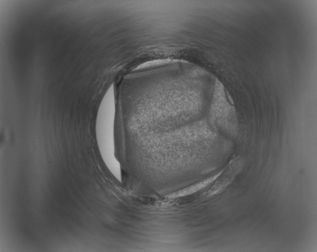 X0000052930624200507292354