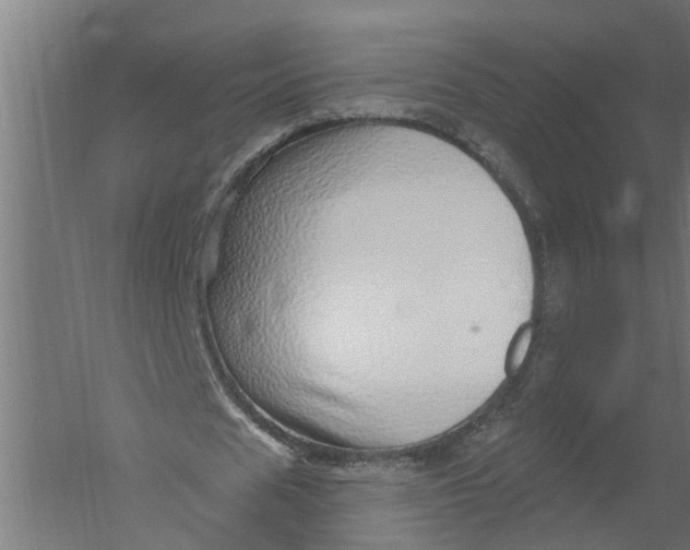 X0000052930625200507292353