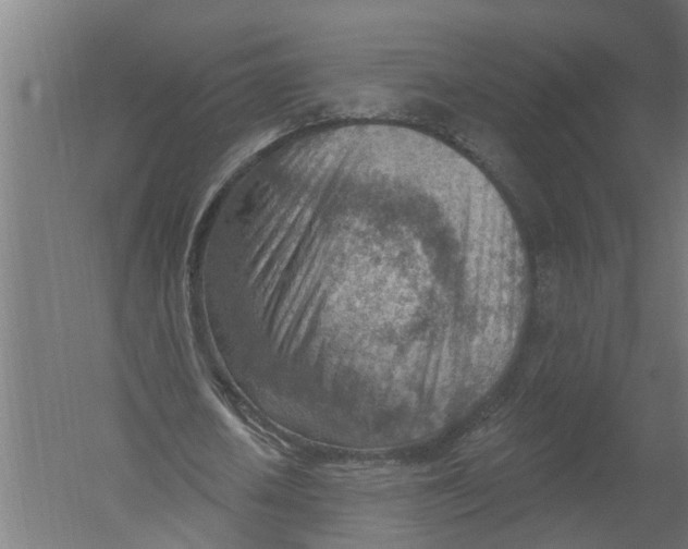 X0000052930626200507292353