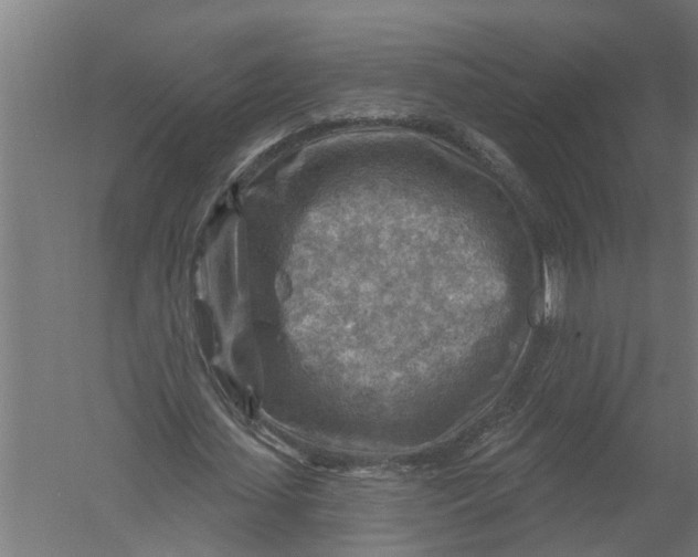 X0000052930627200507292353