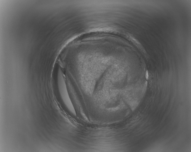 X0000052930628200507292353