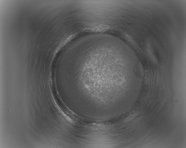 X0000052930634200507292353