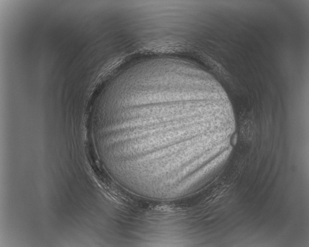 X0000052930635200507292353