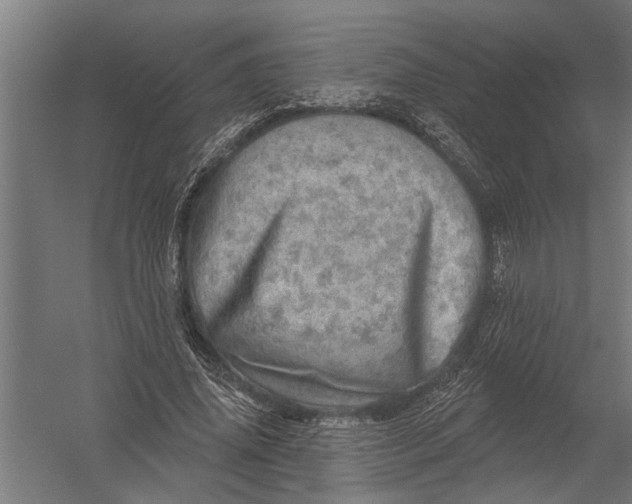 X0000052930636200507292353