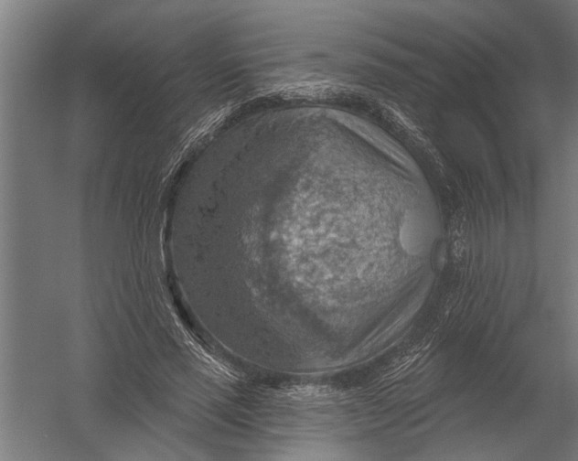 X0000052930637200507292353