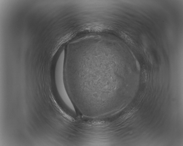 X0000052930638200507292353