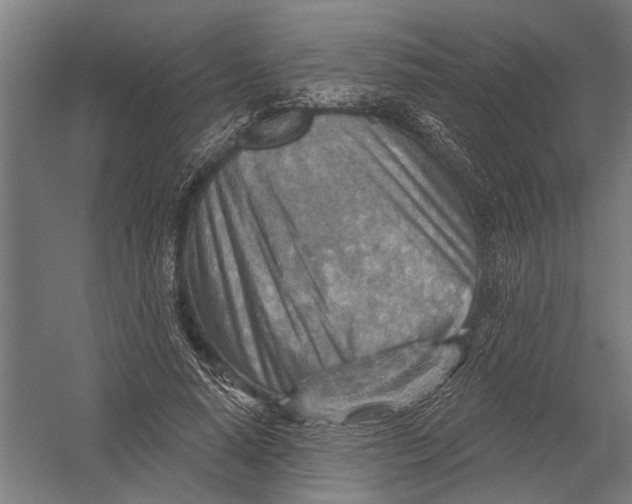 X0000052930640200507292353