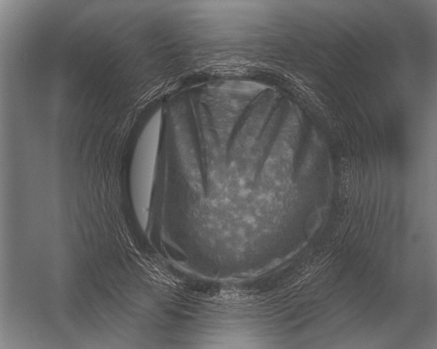 X0000052930641200507292353