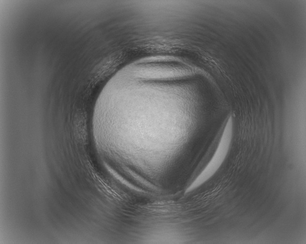 X0000052930642200507292353