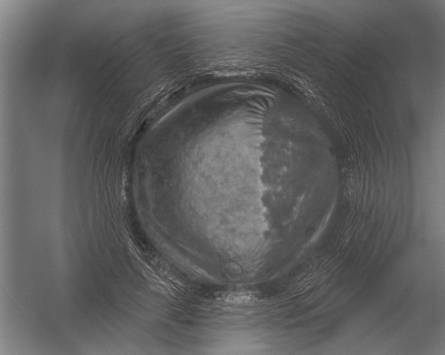 X0000052930643200507292353