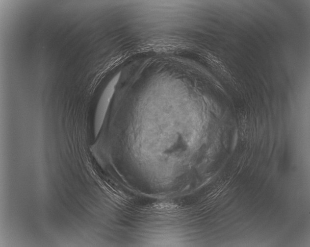 X0000052930644200507292353